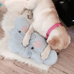 Foto 20-01-15 15 47 42