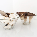 Un mazzo di funghi per me