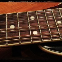 mandolin neck