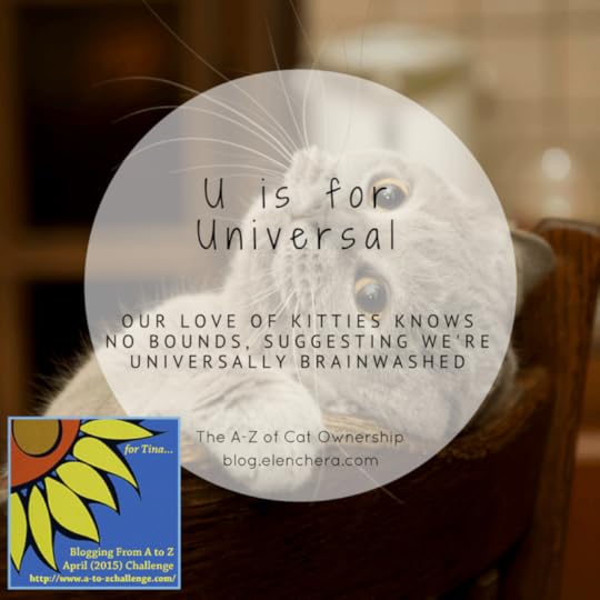 A-Z of Cats: U is for Universal