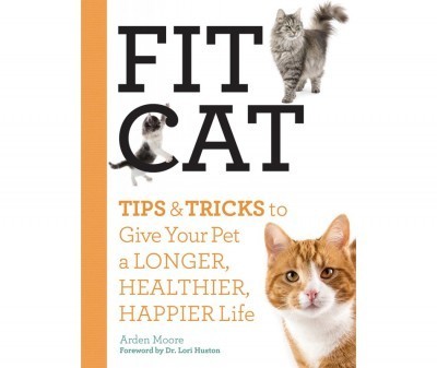 Fit_cat