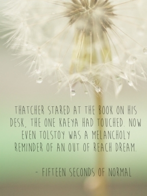 Fifteen Seconds of Normal Tolstoy