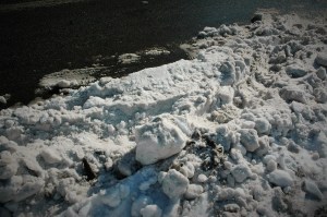 snowy river