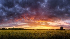 colorful-dusk-sky-above-the-field-14974