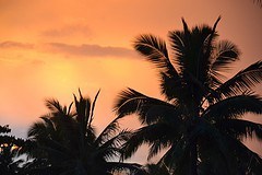 photo credit: Sunset Colours via photopin (license)