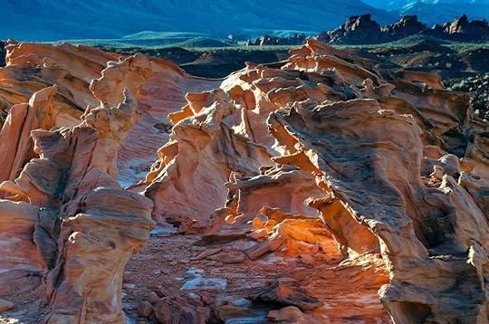 Little Finland stonescape