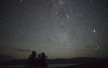 night6