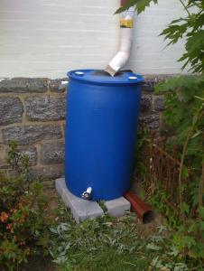 rain-barrel