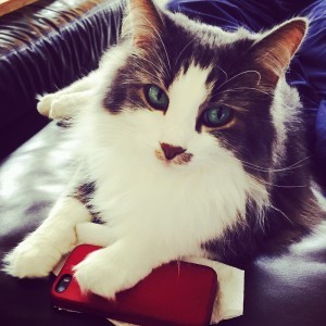 One of my co-workers is taking a call. 