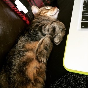 My view at the office. 