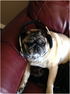 Marlow Kelly on blogtalk radio