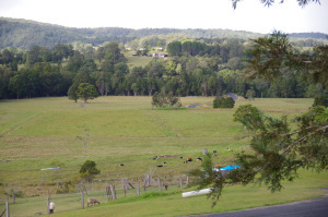William John Stewart's selection 14 at Bray's Creek as it is today.