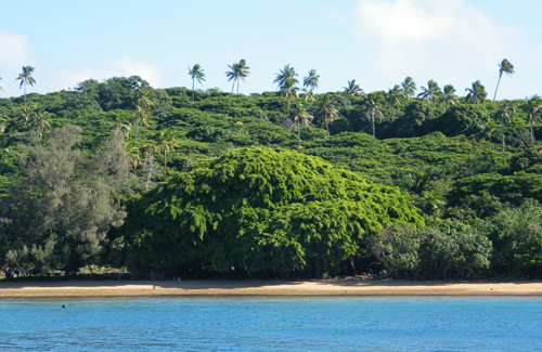 Vaka'etu