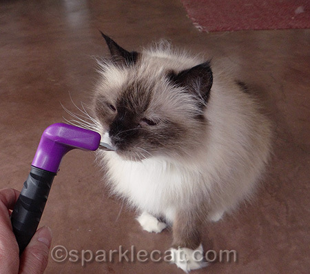 She actually did not miss the Furminator at all