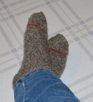 Herdwick-pair-two-2-1662015