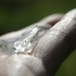 The Special Needs Soul