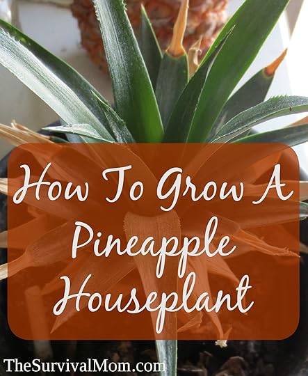 Grow a pineapple houseplant