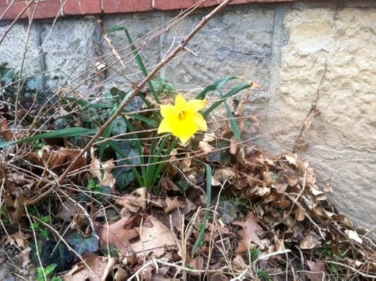 photo 2 (1)
