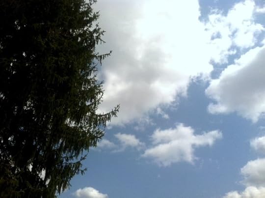 photo 2 (2)
