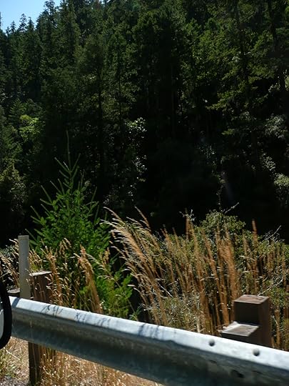 Highway 116 near Guerneville runs parallel to the Russian River.