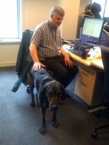 Trigger in the office