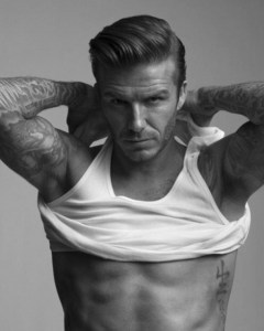 david