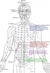 Traditional Chinese Acupuncture Meridian Chart