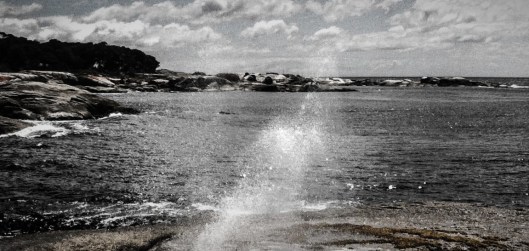 IMG_4785_edited_edited