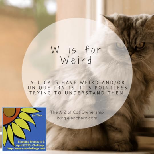 A-Z of Cats: W is for Weird