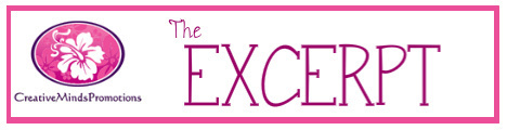 Excerpt