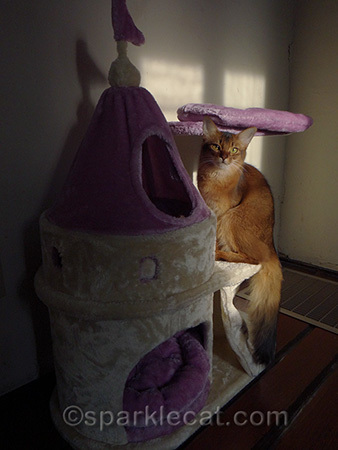 Every princess needs her castle!
