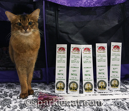 I confess, I love posing with my ribbons at the end of a show