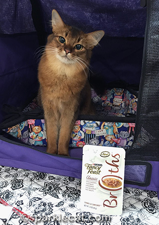 Okay, I'm posing all pretty - now open it up!
