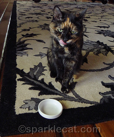 Member of the clean plate club, always