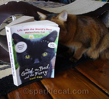 Actually, I mostly read it on the sofa