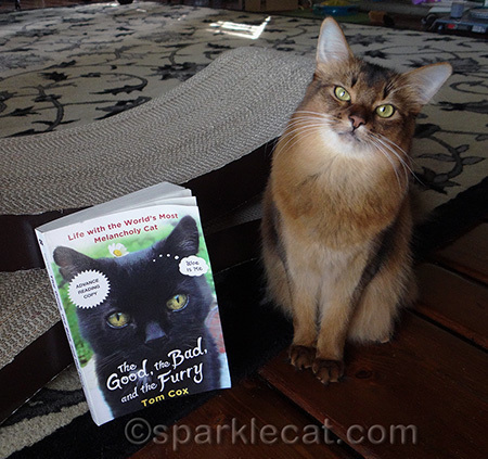 This is the kind of book we really enjoy here!