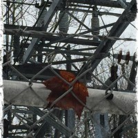 left behind
