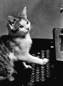 Kitty type