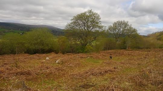 Hillside 1