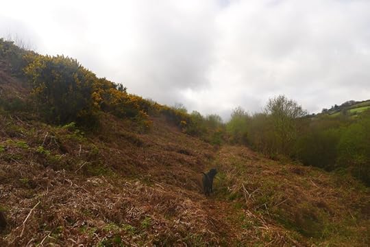 Hillside 3