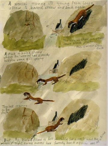 A page from Mary Newcomb's diary