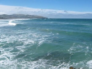 St Clair beach, Dunedin