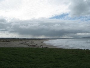 The emptiness of Kaka Point beach, after the storm