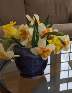 daffs