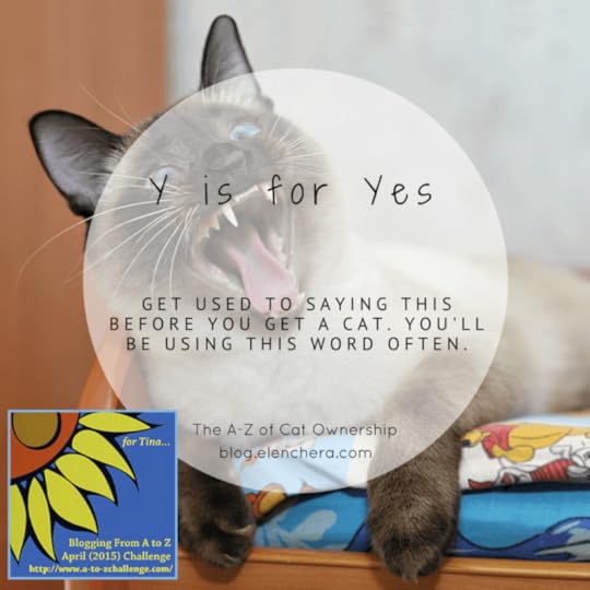 A-Z of Cats: Y is for Yes
