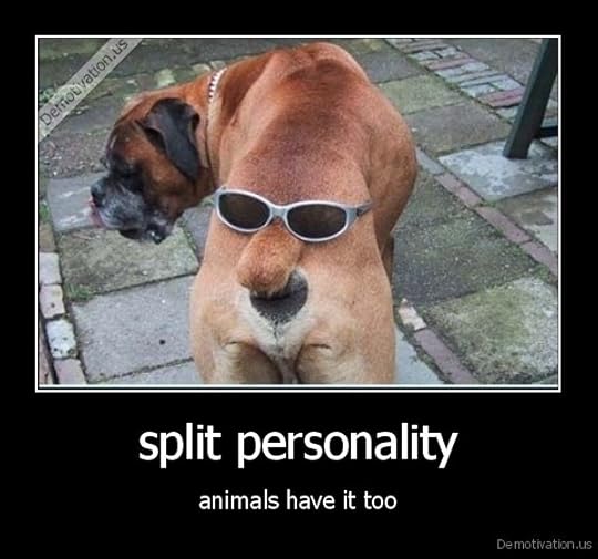  photo image_zpsjly2xcsu.jpg