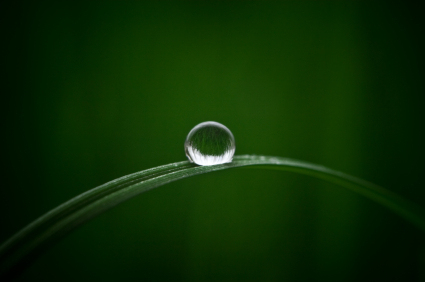 Perfect_moment