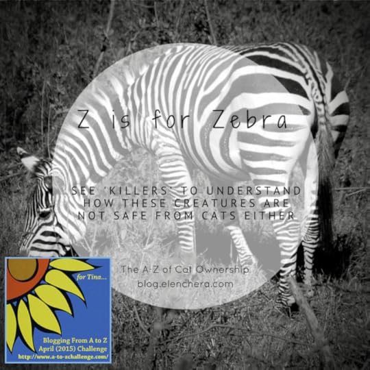A-Z of Cats: Z is for Zebra