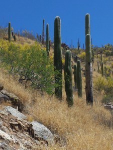 20150429_105457