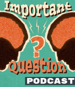 Sidebar-ImportantQuestion